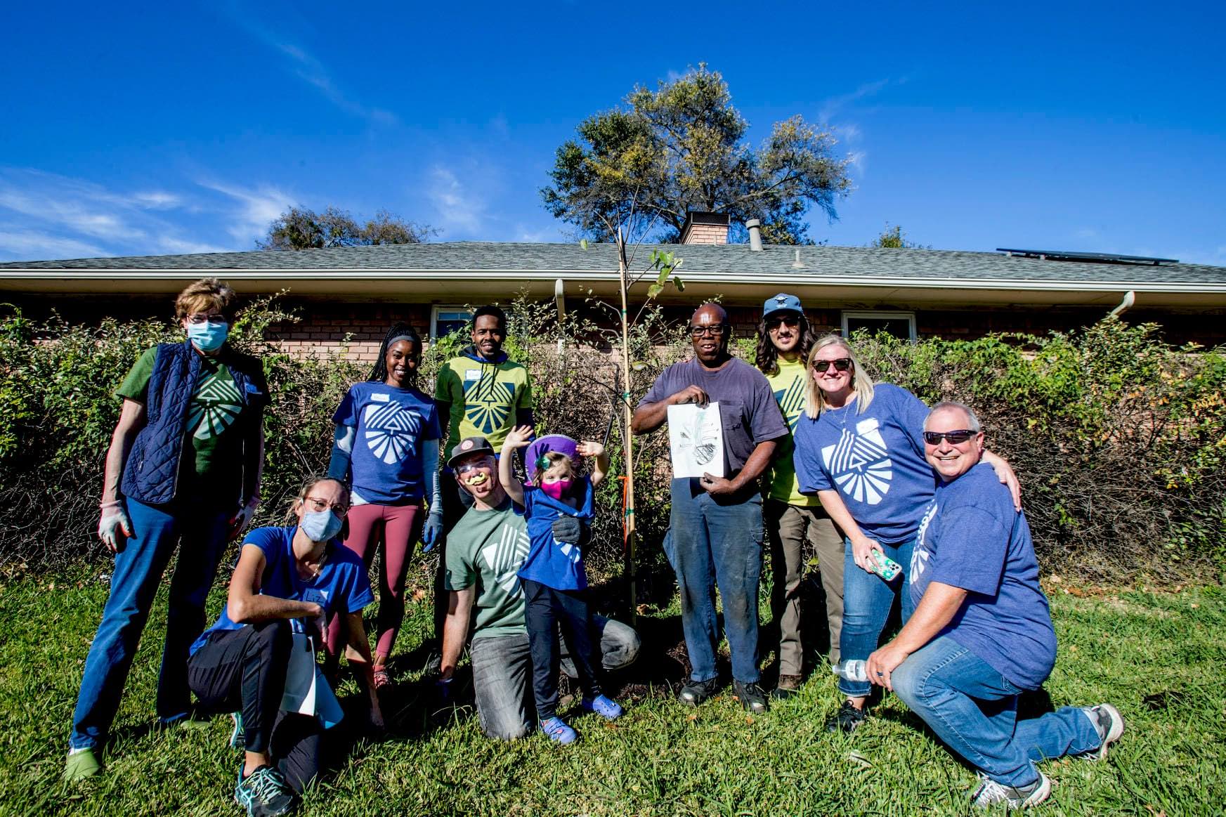 tree planting